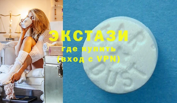 ECSTASY Горняк